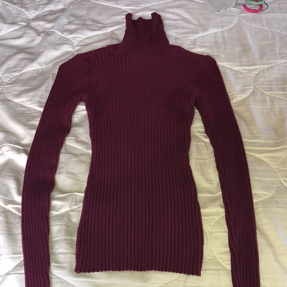 Wine colored Express Turtle Neck